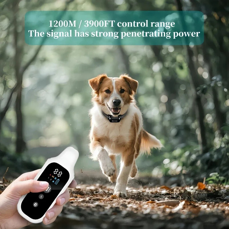 800m Waterproof Dog Training Collar