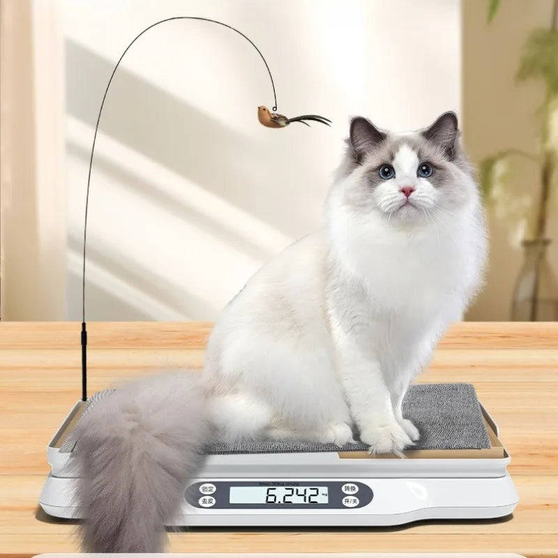 Professional Digital Pet Weight Scale