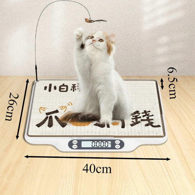Professional Digital Pet Weight Scale