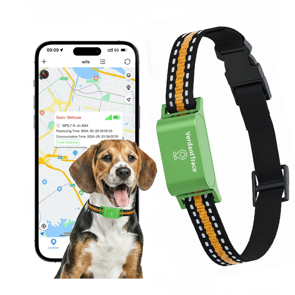 VerdantTrace 4G GPS Pet Tracker Collar