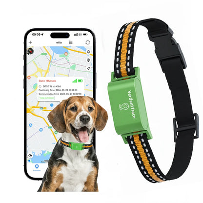 VerdantTrace 4G GPS Pet Tracker Collar