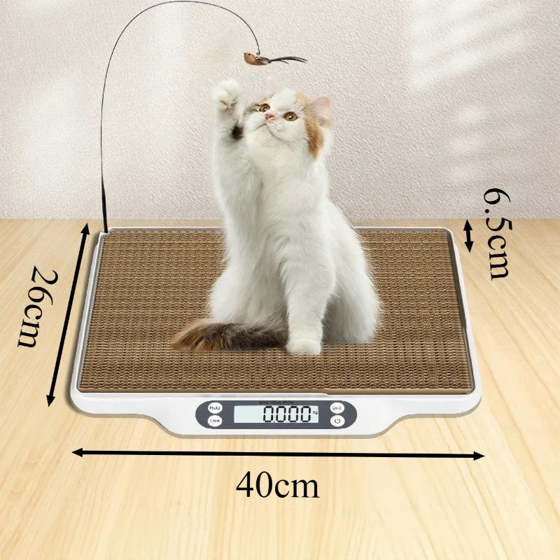 Professional Digital Pet Weight Scale