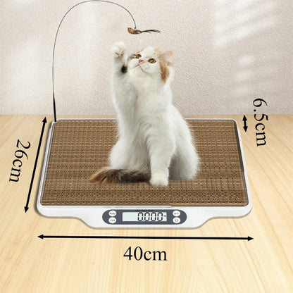 Professional Digital Pet Weight Scale