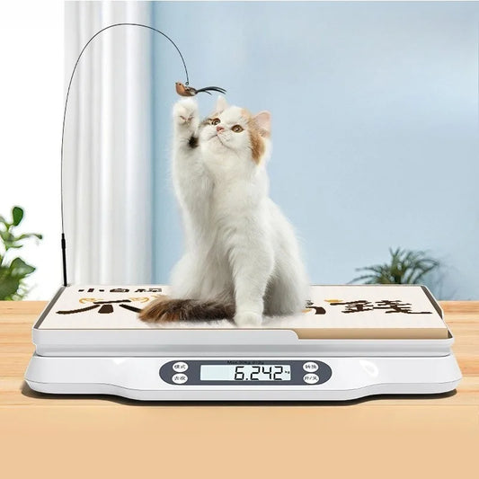 Professional Digital Pet Weight Scale