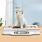 Professional Digital Pet Weight Scale