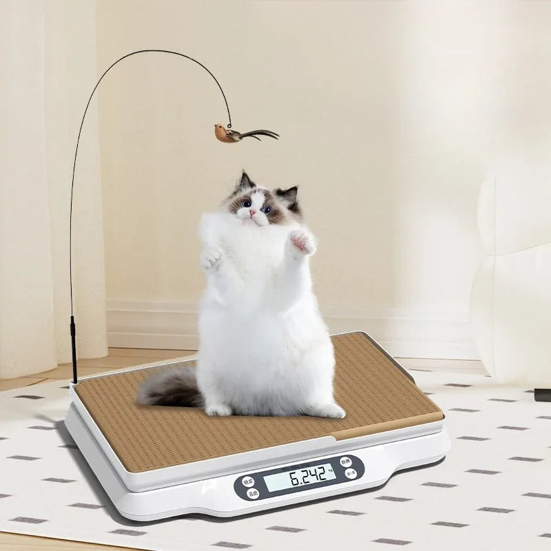 Professional Digital Pet Weight Scale