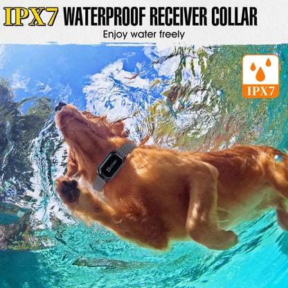 800m Waterproof Dog Training Collar